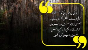 Urdu Quotes